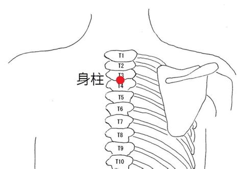 中柱穴|身柱